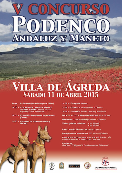 V Concurso Podenco Andaluz y Maneto Villa de Agreda